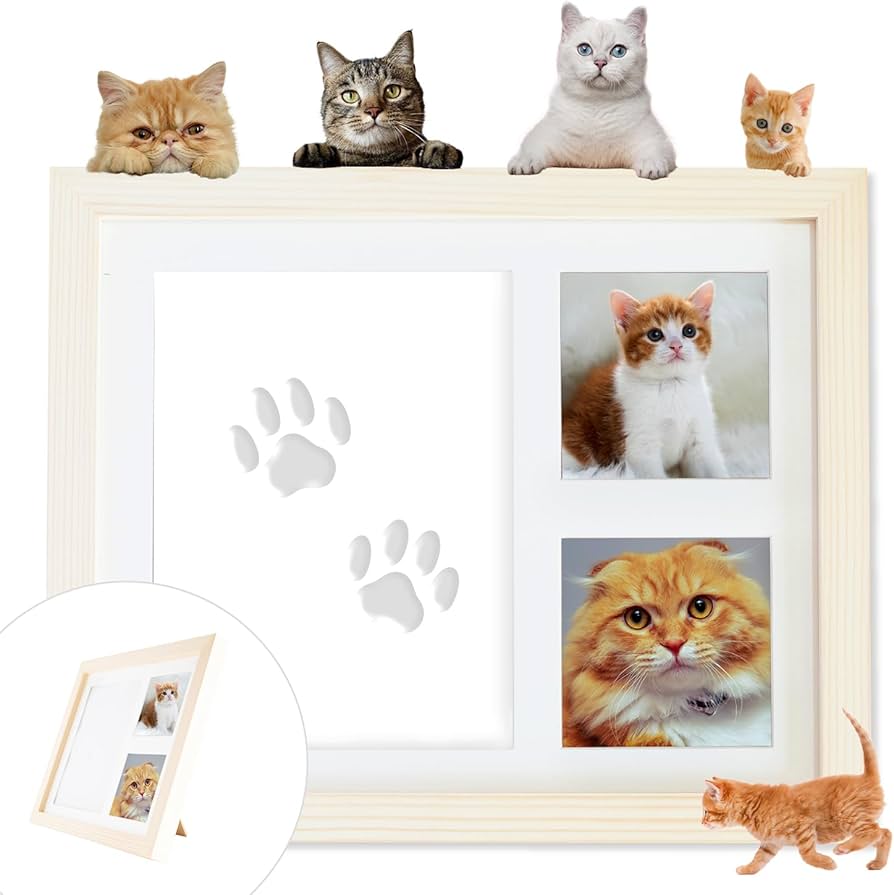 Amazon | THEN メモリアル肉球フォトフレーム 猫用 お誕生日やお別れの